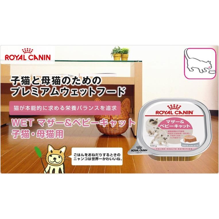 お得な24個セット ロイヤルカナン マザー ベビーキャット 100g 24個 Royal Canin Fhn Wet 猫 パウチ Rc Wet W 131583 00 00 モコペット 通販 Yahoo ショッピング