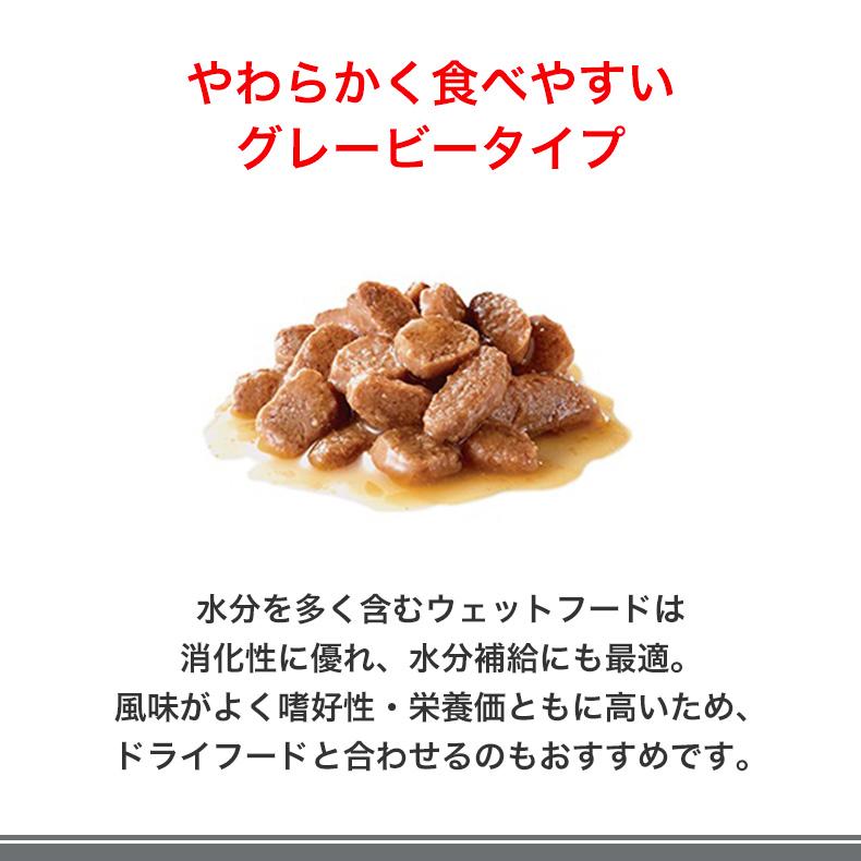 ロイヤルカナン（ROYAL CANIN） 【お得な48個セット】ロイヤルカナン