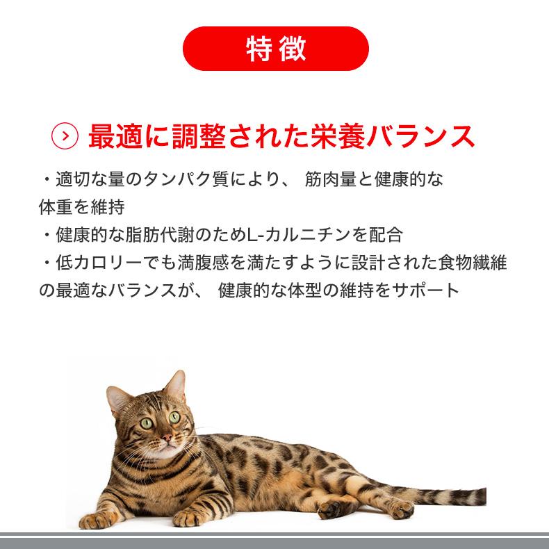 【お得な4個セット】ロイヤルカナン ライト ウェイト ケア 3kg / 減量したい成猫用（生後12ヵ月齢以上） / FCN 猫 ドライフード ジッパー有り｜1096dog｜11