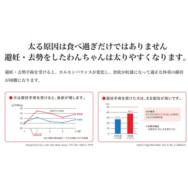 【お得な4個セット】ロイヤルカナン ミディアム ステアライズド 3kg / 中型犬 避妊・去勢犬用（生後12ヵ月齢以上） / CCN 犬 ドライフード ジッパー有り｜1096dog｜17