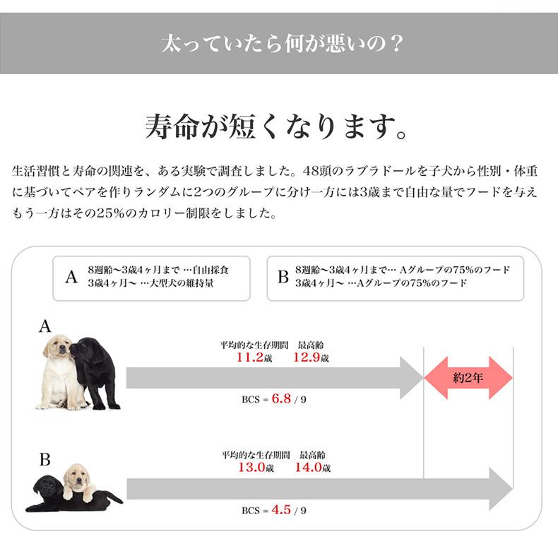 ロイヤルカナン（ROYAL CANIN） 【お得な4個セット】ロイヤルカナン