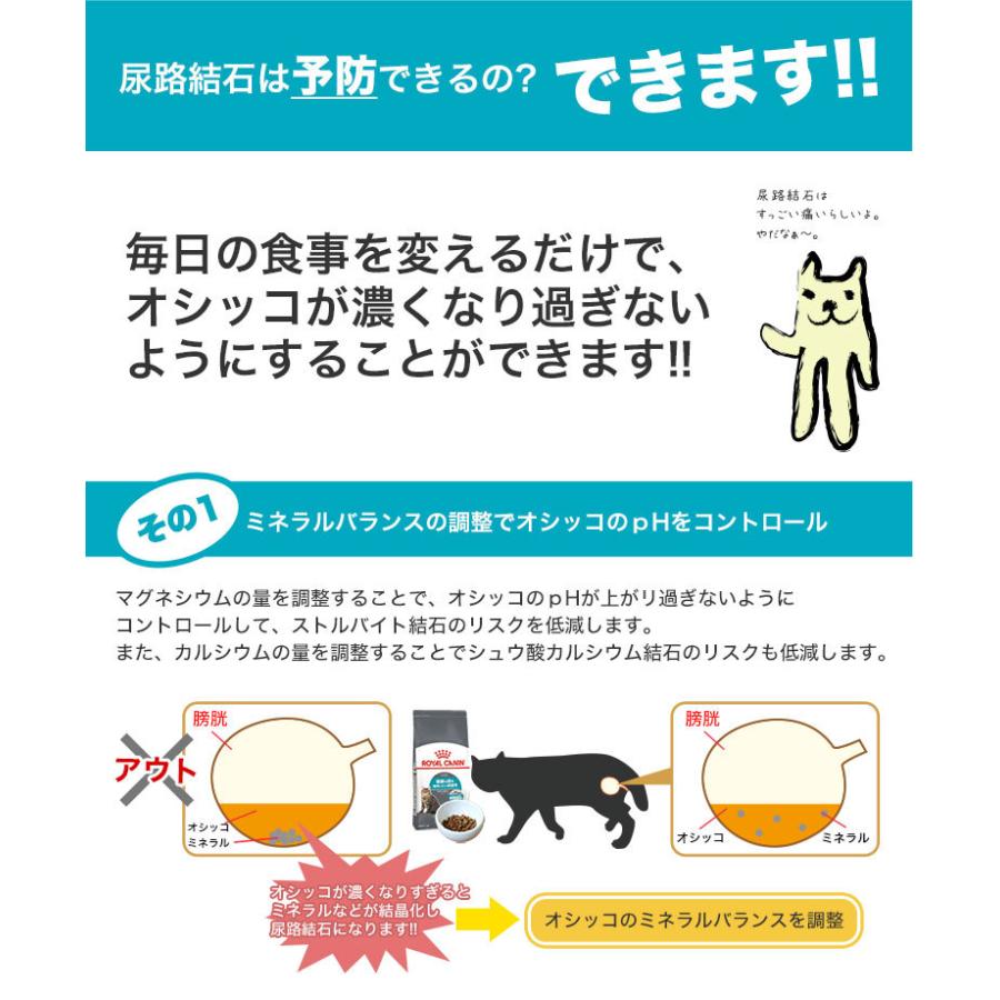 路 予防 尿 結石