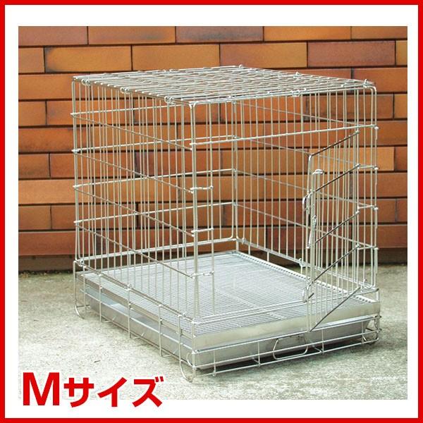 経典 ハチコウ ステンレスケージ L 長面扉 zlote-arkady.pl