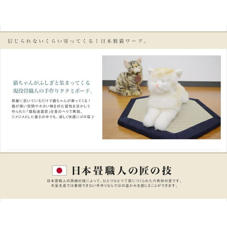 猫ワープ！職人手作り 猫転送装置 畳 タタミ 純国産いぐさ 和風 猫用品 