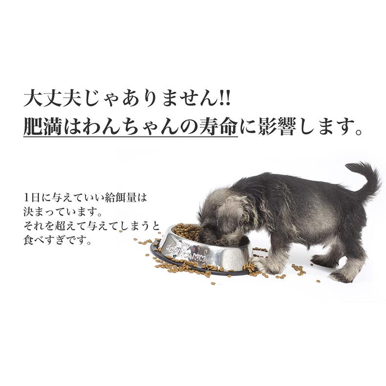 ロイヤルカナン（ROYAL CANIN） 【お得な6個セット】ロイヤルカナン