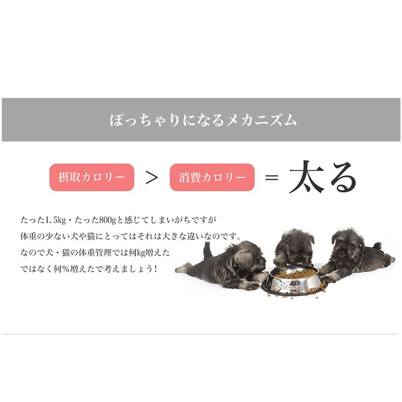 ロイヤルカナン（ROYAL CANIN） 【お得な6個セット】ロイヤルカナン