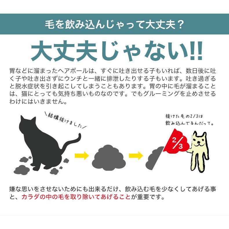 【お得な6個セット】ロイヤルカナン ヘアボール ケア 2kg / 毛玉が気になる成猫用（生後12ヵ月齢以上） / FCN 猫 ドライフード ジッパー有り｜1096dog｜10