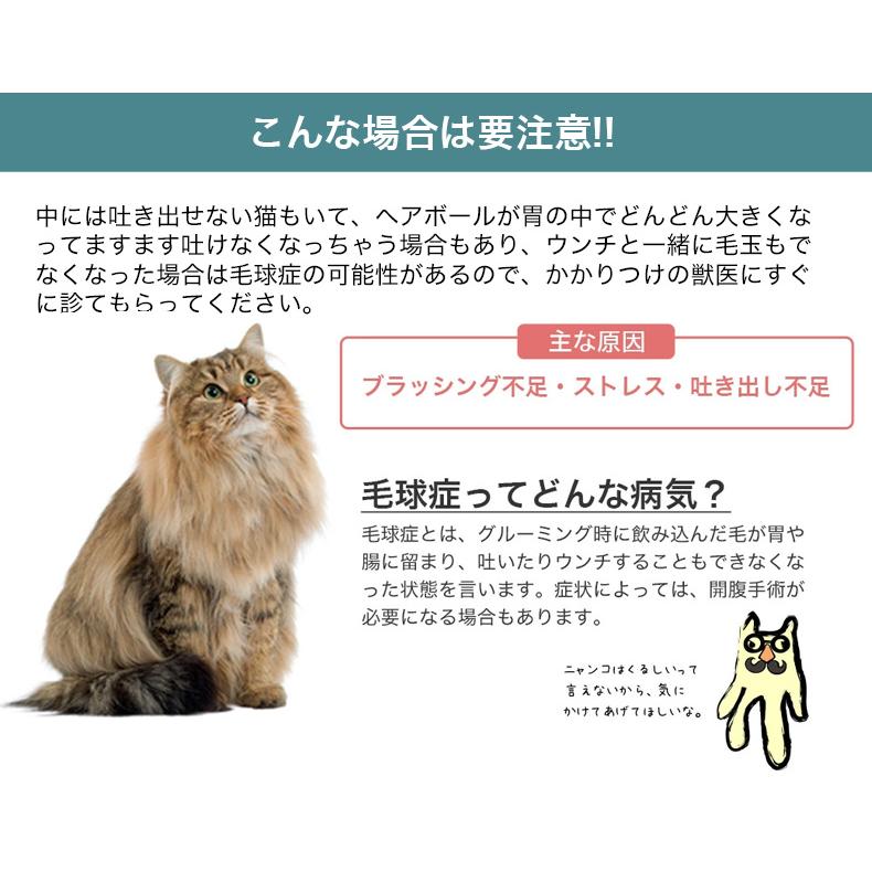 【お得な6個セット】ロイヤルカナン ヘアボール ケア 2kg / 毛玉が気になる成猫用（生後12ヵ月齢以上） / FCN 猫 ドライフード ジッパー有り｜1096dog｜12