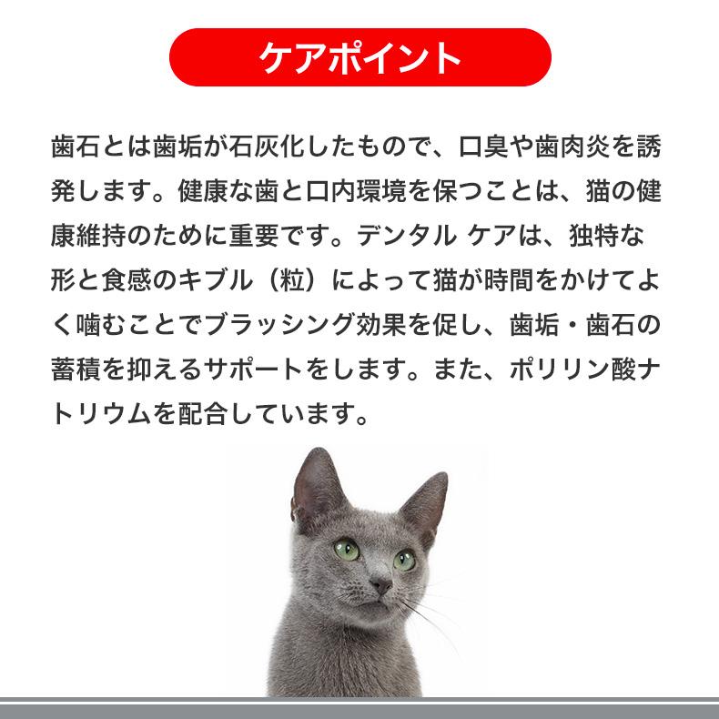ロイヤルカナン（ROYAL CANIN） 【お得な6個セット】ロイヤルカナン