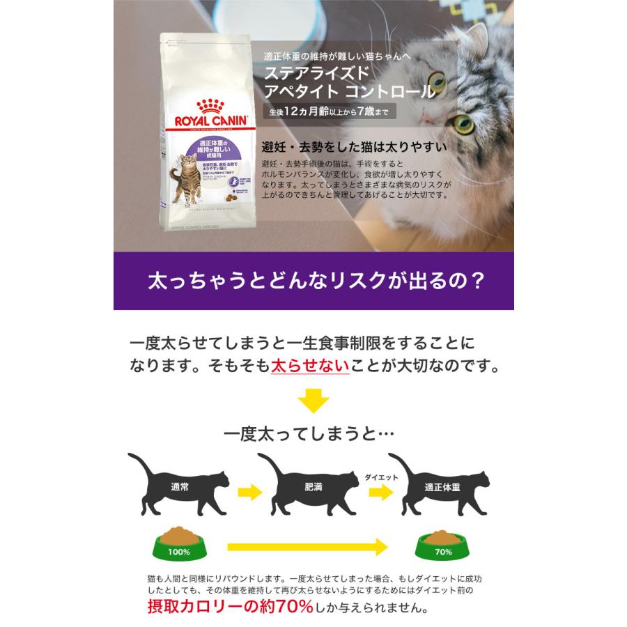 お得な6個セット ロイヤルカナン アペタイト コントロール ステアライズド 2kg 生後12ヵ月齢から7歳まで 適正体重の維持が難しい成猫用 Rc Dry Rcsc W 00 00 モコペット 通販 Yahoo ショッピング