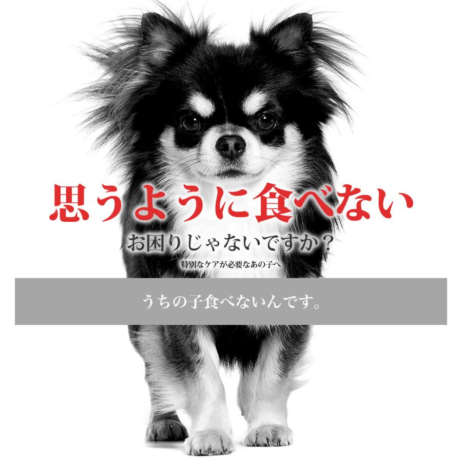 ドッグフードセット(ロイヤルカナン、エルモ、シュプレモ、シーザー、mot！など) ドッグフードセット(ロイヤルカナン、エルモ、シュプレモ