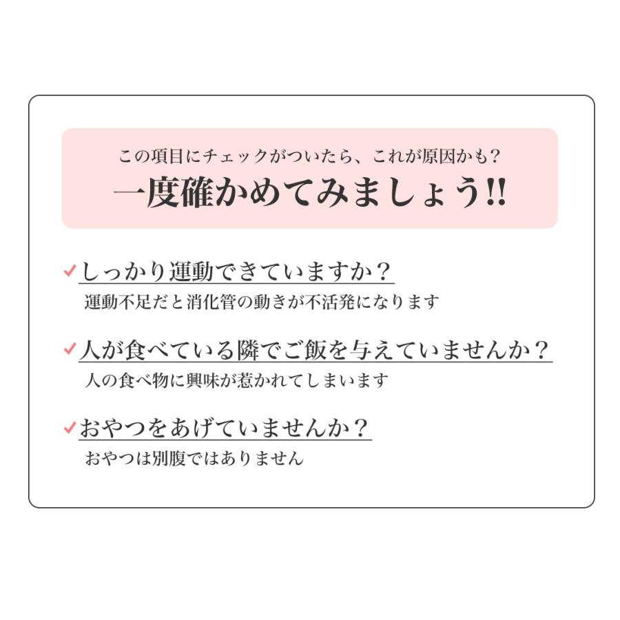 ロイヤルカナン 【お得な6個セット】ロイヤルカナン ミニ エクシ