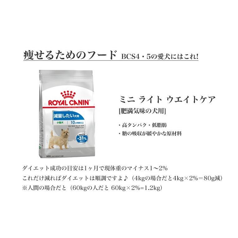 驚きの値段で ミニ あす楽 お得な6個セット ロイヤルカナン ステアライズド W Ccn Cup Rca Ccn Rcsc 低カロリー高タンパク質 減量 ダイエット ドッグフード 健康体重の維持 小型犬用 生後10ヶ月齢以上 避妊 去勢犬用 成犬用 2kg 6個