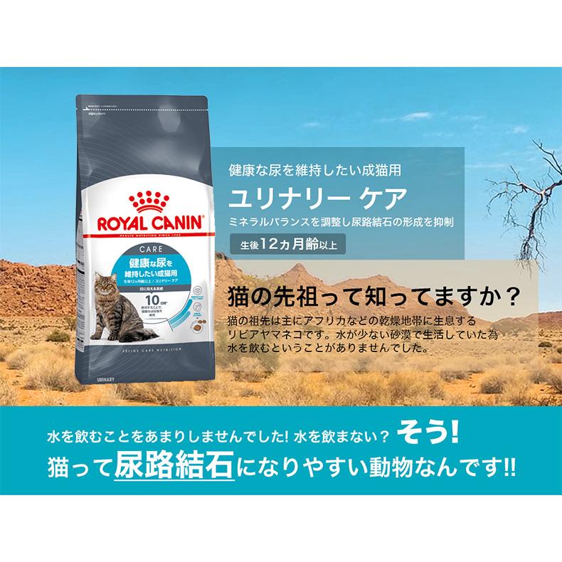 【お得な6個セット】ロイヤルカナン ユリナリー ケア 2kg / 健康な尿を維持したい成猫用（生後12ヵ月齢以上） / FCN 猫 ドライフード ジッパー有り｜1096dog｜08