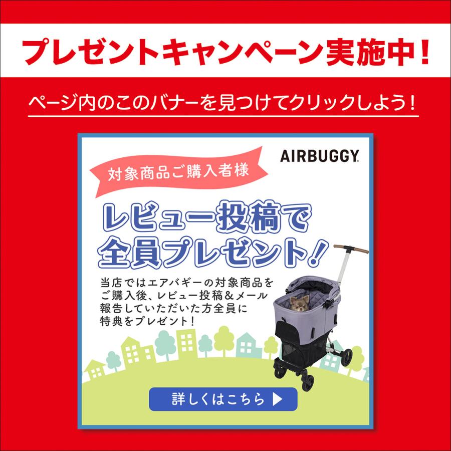 AIRBUGGY 【正規2年保証】エアバギー キャリッジ [CARRIAGE AIRBUGGY 【正規2年保証】エアバギー キャリッジ [CARRIAGE