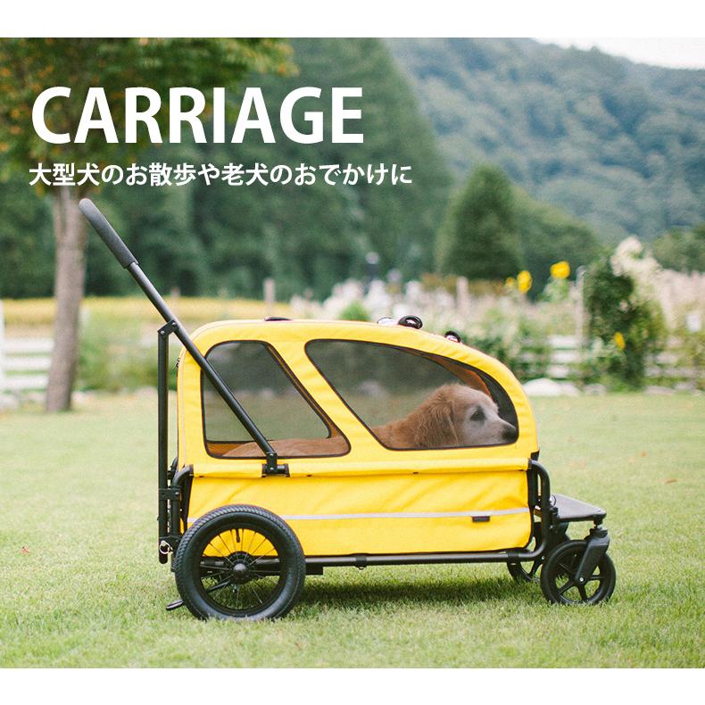 AIRBUGGY 【正規2年保証】エアバギー キャリッジ [CARRIAGE AIRBUGGY 【正規2年保証】エアバギー キャリッジ [CARRIAGE