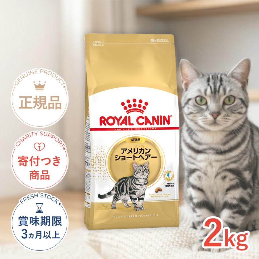  CANIN アメリカンショートヘアー 2kg ドライフード ロイヤルカナン（ROYAL CANIN） アメリカン ショートヘアー 2kg