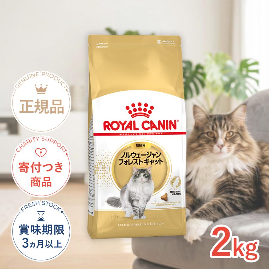 ロイヤルカナン（ROYAL CANIN） ノルウェージャン フォレスト キャット