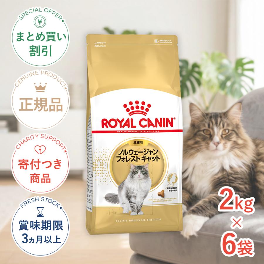 【新品未使用品】ロイヤルカナン　ノルウェージャンフォレストキャット　2kg 2袋 ロイヤルカナン（ROYAL CANIN） 【お得な6個セット】ロイヤルカナン