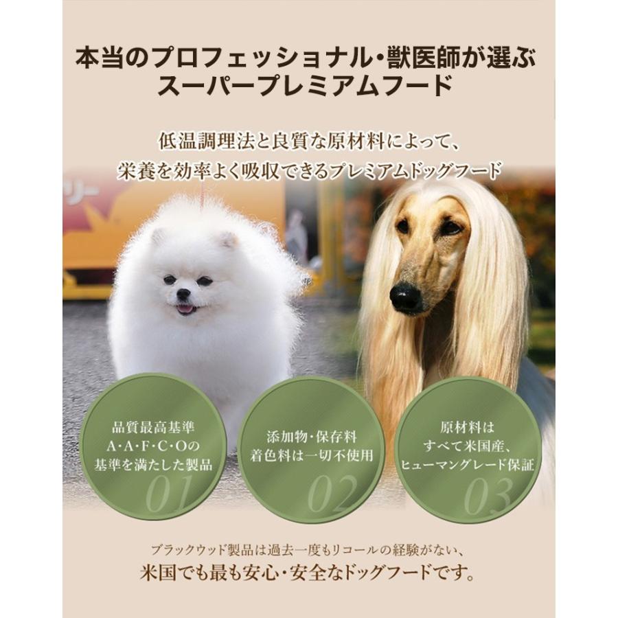 業務用　BLACKWOOD REAL MILK　リアルミルク　10袋 楽天市場】ブラックウッド リアルミルク【8月10日24時間限定