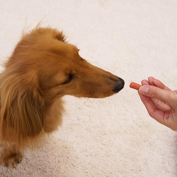 ドギーマン ヘルシーソフト ビール酵母入りササミ ウィンナータイプ 国産 犬用おやつ 4g W W 00 00 モコペット 通販 Yahoo ショッピング