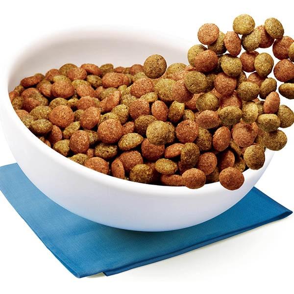 訳あり品送料無料 ペットプロ Petpro 豚鼻 1ヶ入り 犬 おやつ W 1534 00 00 Discoversvg Com