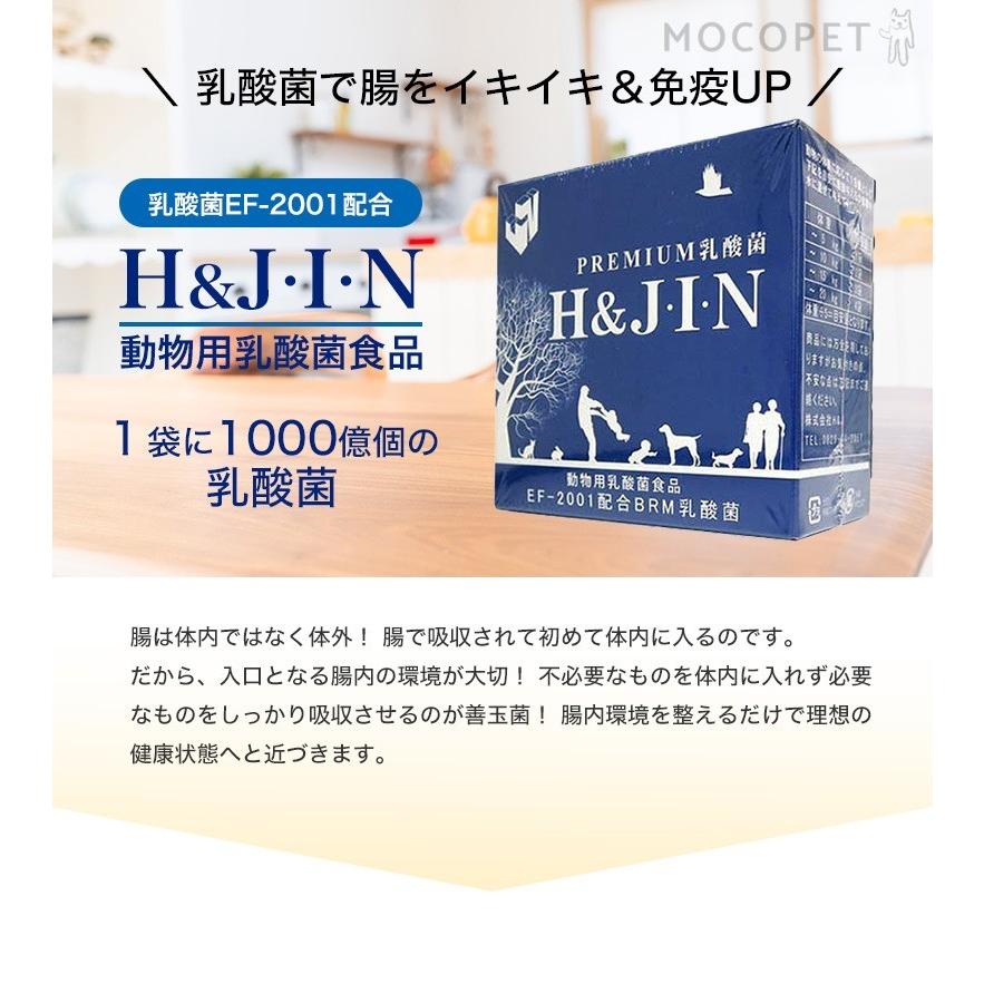 PREMIUM 乳酸菌 H＆J・I・N 15包 / 高品質乳酸菌：EF-2001配合 ヒューマングレード[人間もOK！] 動物用 サプリ 犬 猫 H & JIN 快便 快腸 腸活 4900001352169｜1096dog｜02