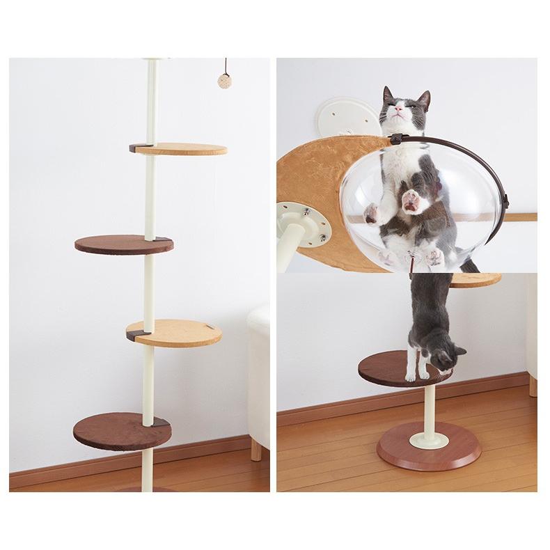 ボンビアルコン キャットポール クリアハンガー キャットタワー 猫タワー 省スペース 天井突っ張り式 W 00 00 大型商品のため同梱不可 W 00 00 モコペット 通販 Yahoo ショッピング