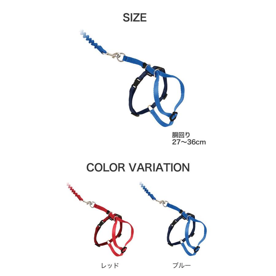 [ペットセーフ]PetSafe イージーウォーク 猫用 ハーネス＆バンジーリード Mサイズ 青 / 首輪 散歩 猫 ペット 0729849132795 #w-157591｜1096dog｜03