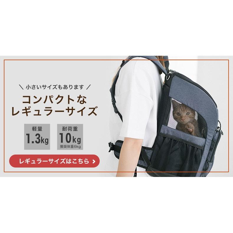3WAY バックパックキャリー ワイド AirBuggy for Dog[エアバギー フォー ペット] ペット 犬 熱中症 猫 リュック 避難  防災セット 旅行 通院 #w-158590