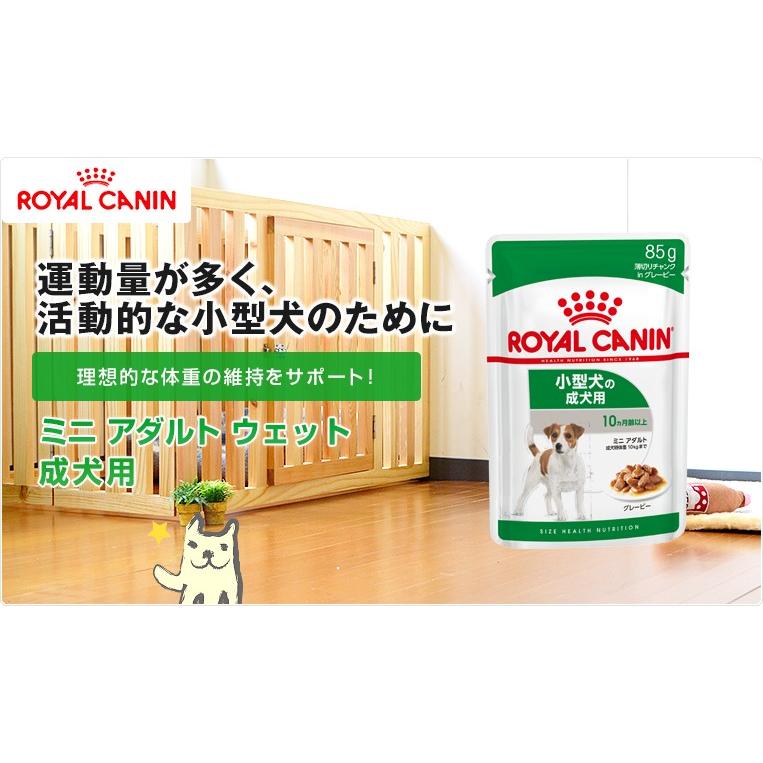 売れ筋 ロイヤルカナン ウェット プードル 85g 48袋 沖縄別途送料 お一人様5点限り discoversvg.com 売れ筋 ロイヤルカナン ウェット プードル 85g 48袋 沖縄別途送料 お一人様5点限り discoversvg.com
