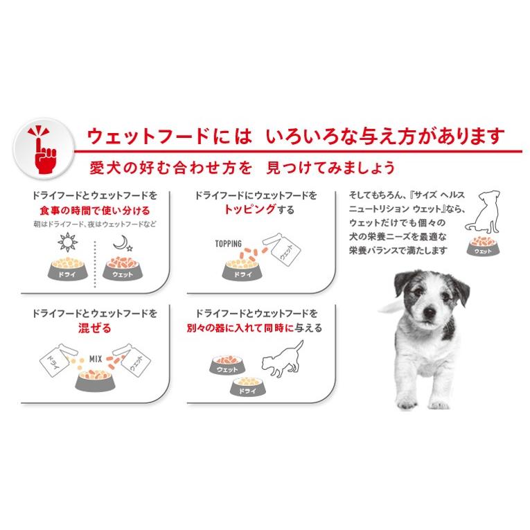 ロイヤルカナン ミニ アダルト 小型犬 成犬用 生後10ヵ月齢以上 85g 生後10ヶ月齢以上 Shn Wet 犬用ウェット Royal Canin W 00 00 W 00 00 モコペット 通販 Yahoo ショッピング