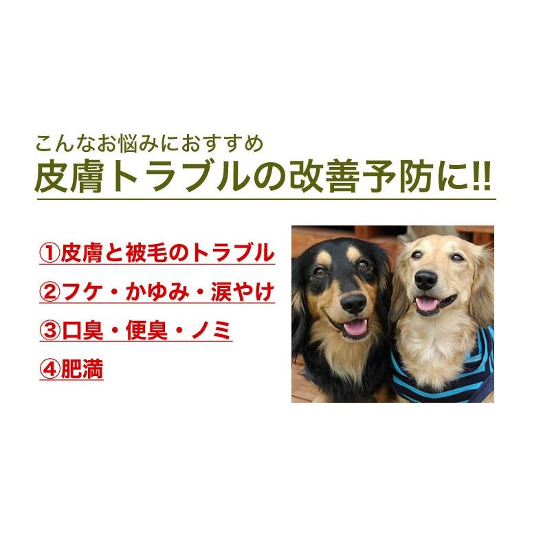 アボダーム Avo Derm オリジナルビーフ 中粒 2 犬 ドッグフード アボカド 皮膚 W 00 00 W 00 00 モコペット 通販 Yahoo ショッピング