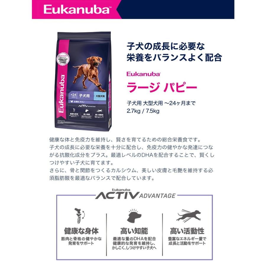 ユーカヌバ（Eukanuba） ラージ パピー 2.7kg / ドッグフード