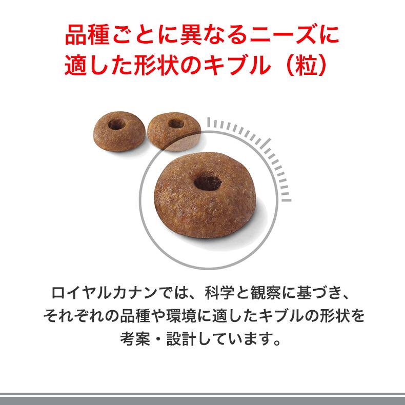 ロイヤルカナン アペタイト コントロール 2kg / おねだりの多い ロイヤルカナン アペタイト コントロール 2kg / おねだりの多い