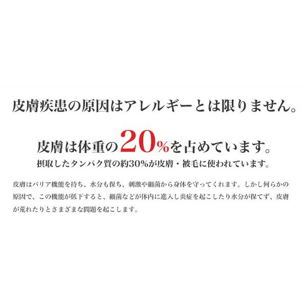 ロイヤルカナン（ROYAL CANIN） ミディアム ダーマコンフォート 12kg