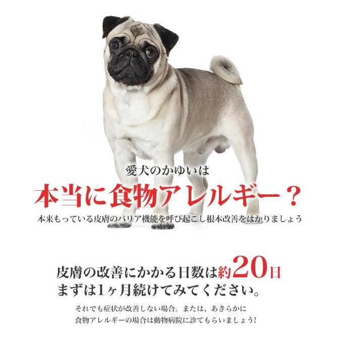 ロイヤルカナン マキシ ダーマコンフォート 12kg / 大型犬 皮膚の健康