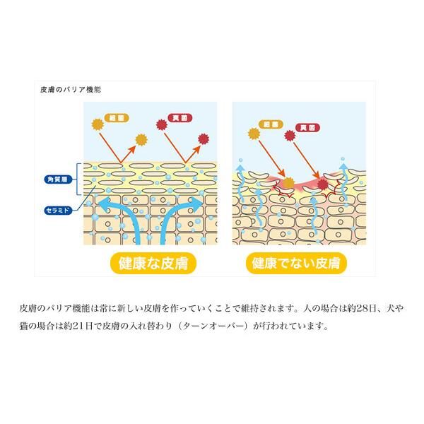  CANIN マキシダーマコンフォート12kg マキシ ダーマコンフォート（皮膚の健康を維持したい犬用 大型犬
