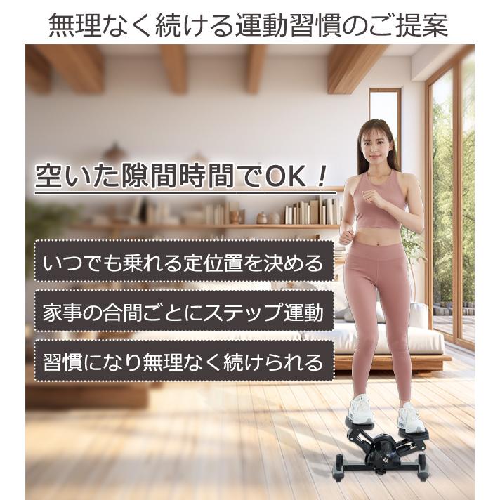 東急スポーツオアシス ステッパー ツイストステッパー Premium 東急スポーツオアシス ステッパー ツイストステッパー Premium