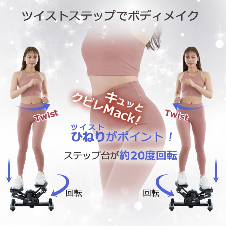 東急スポーツオアシス ステッパー ツイストステッパー Premium 東急スポーツオアシス ステッパー ツイストステッパー Premium