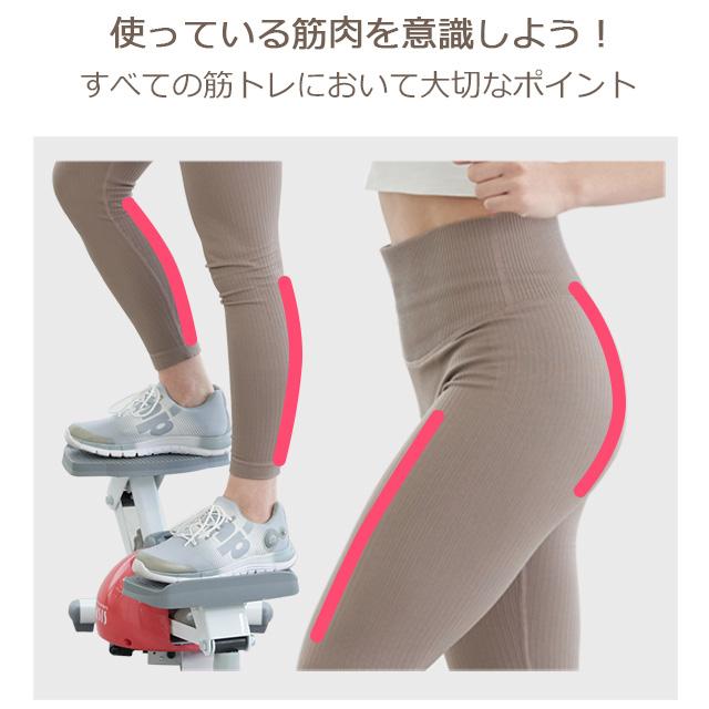 東急スポーツオアシス ステッパー ツイストステッパー SP-100 30 東急スポーツオアシス ステッパー ツイストステッパー SP-100 30