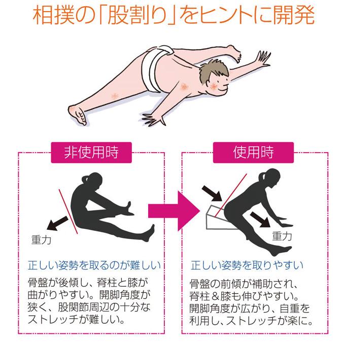 サンテプラス フレックスクッション(本体のみ) : 東急スポーツ サンテプラス フレックスクッション(本体のみ) : 東急スポーツ