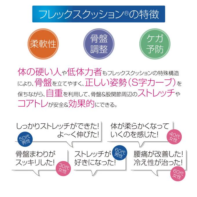 サンテプラス フレックスクッション(本体のみ) : 東急スポーツ サンテプラス フレックスクッション(本体のみ) : 東急スポーツ