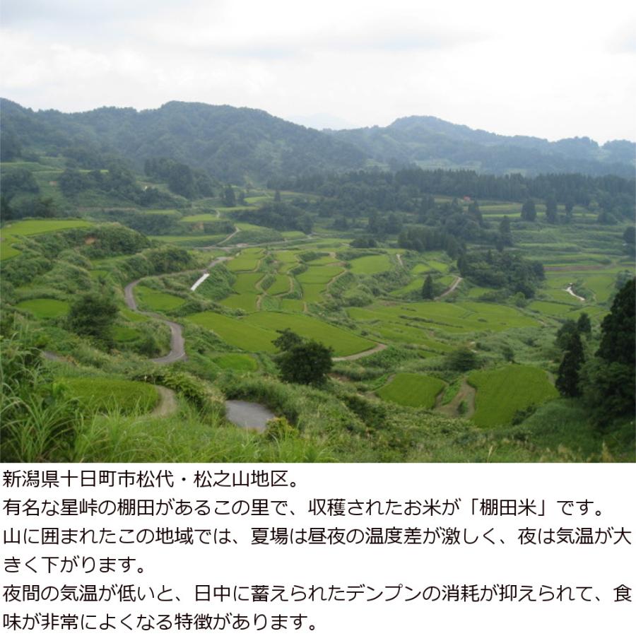 新潟県 十日町市産 魚沼コシヒカリ 米屋五郎兵衛 棚田米 令和6 新潟県 十日町市産 魚沼コシヒカリ 米屋五郎兵衛 棚田米 令和6