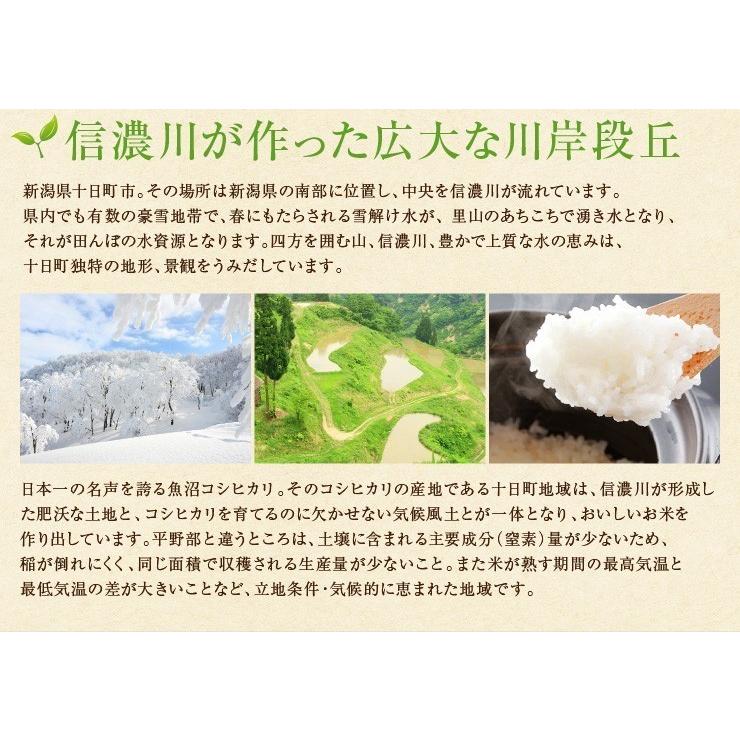 新潟県 魚沼産こしひかり 棚田米 令和7年産 精米 10kg : とおかまち