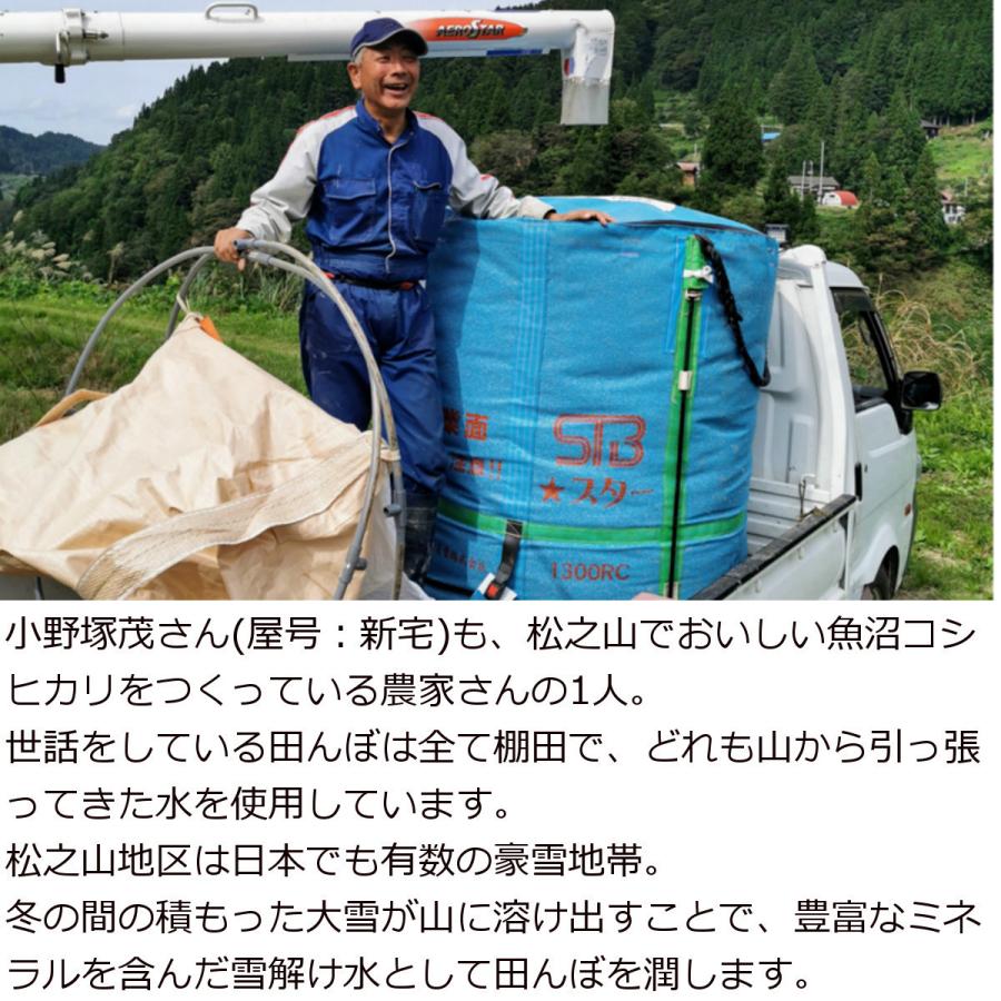 古米】 新潟県 十日町市産 魚沼コシヒカリ 新宅棚田米 令和4年産 玄米