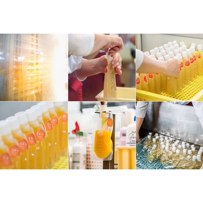 アイス 凍らせて食べるゼリーセット GYUTTO(みかん3個 りんご3個