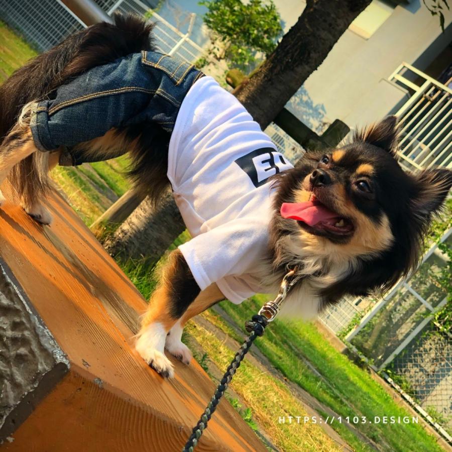 犬 服 犬服 ダックス 犬の服 夏 クール T シャツ ボーダー おしゃれ 夏用 春夏 涼しい 安い 可愛い犬服 中型犬 小型犬 かわいい 国産 Tシャツ W B T Shirt Wb01 おしゃれな犬服専門ショップ1103 通販 Yahoo ショッピング