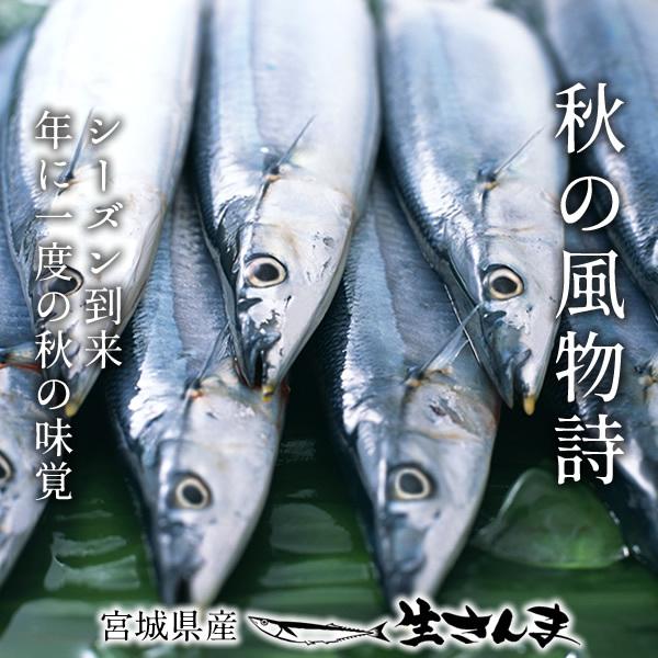 サンマ 新物 生さんま 5尾 秋刀魚 お刺身 鮮度抜群 国産 宮城県 三陸 お取り寄せ ギフト プレゼント Sanma51a 三陸カキ漁師 海遊 通販 Yahoo ショッピング