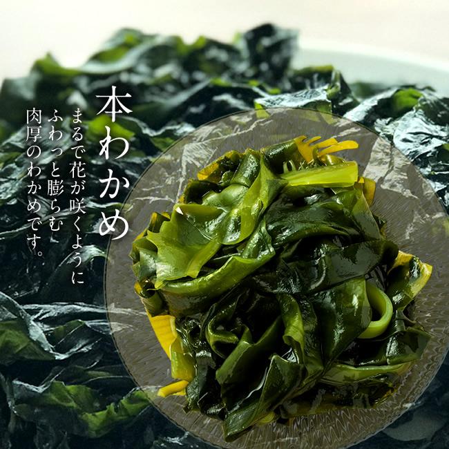 塩蔵わかめ 宮城県石巻産 訳あり品 三陸 塩蔵わかめ 宮城県石巻産 300g×2袋 湯通しワカメ お刺身若芽 お